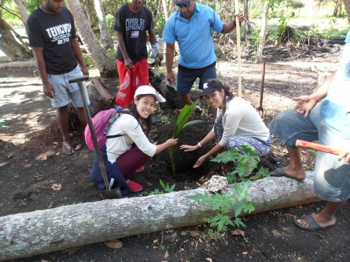 Fiji organic farming - Fiji