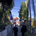 walking to temple 150x150 - Bodhgaya India Volunteering - 2017