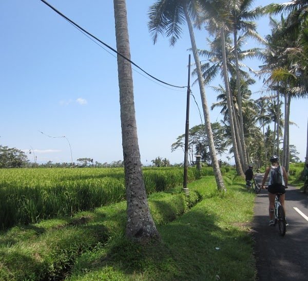 green lion adventure week6 600x547 - Bali Nutrition Review by Inga