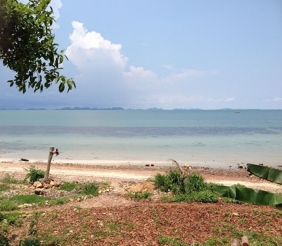 Mangrove Environmental Conservation Program diving2 - Mangrove Environmental Conservation Program