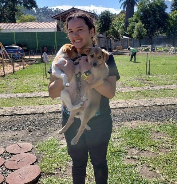 holding 2 dogs holding 2 dogs