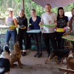 Dog Rehabilitation Peru 7 150x150 - Mum & Daughter Volunteering - Orphanage Fiji 2016