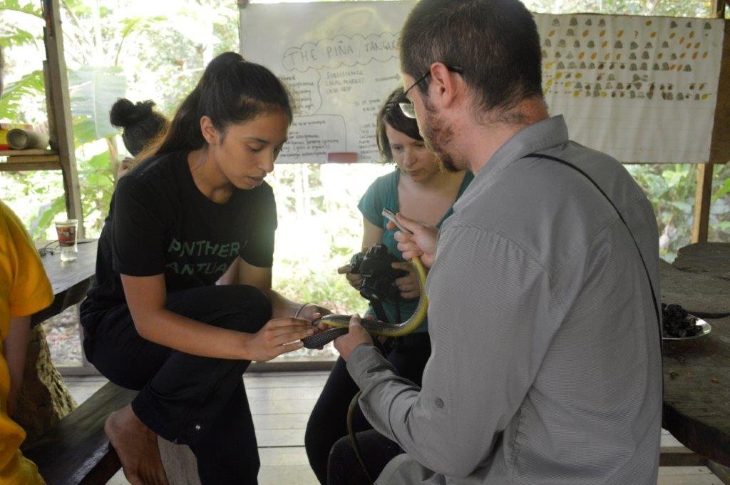 Jungle conservation 5 - Exciting Volunteering Projects to Join in 2023