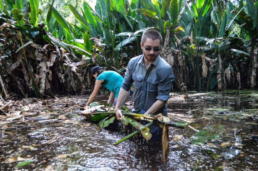 Jungle conservation 6 - Volunteer in Central America and South America this year!