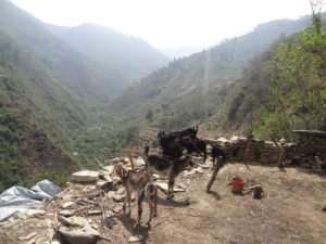 earthquake17 300x225 - Nepal