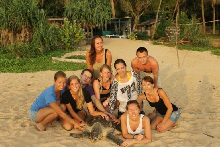 Srilanka turtle conservation 8 768x512 - 4 Week Sri Lanka Wildlife & Conservation Experience