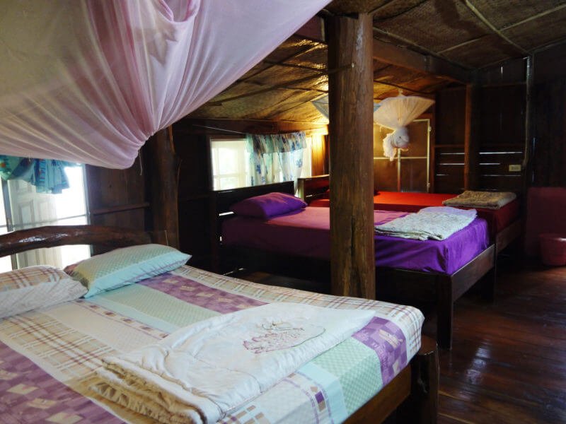 Elephant Conservation Adventure Thailand Standard 3 800x600 - Elephant Conservation Adventure Thailand