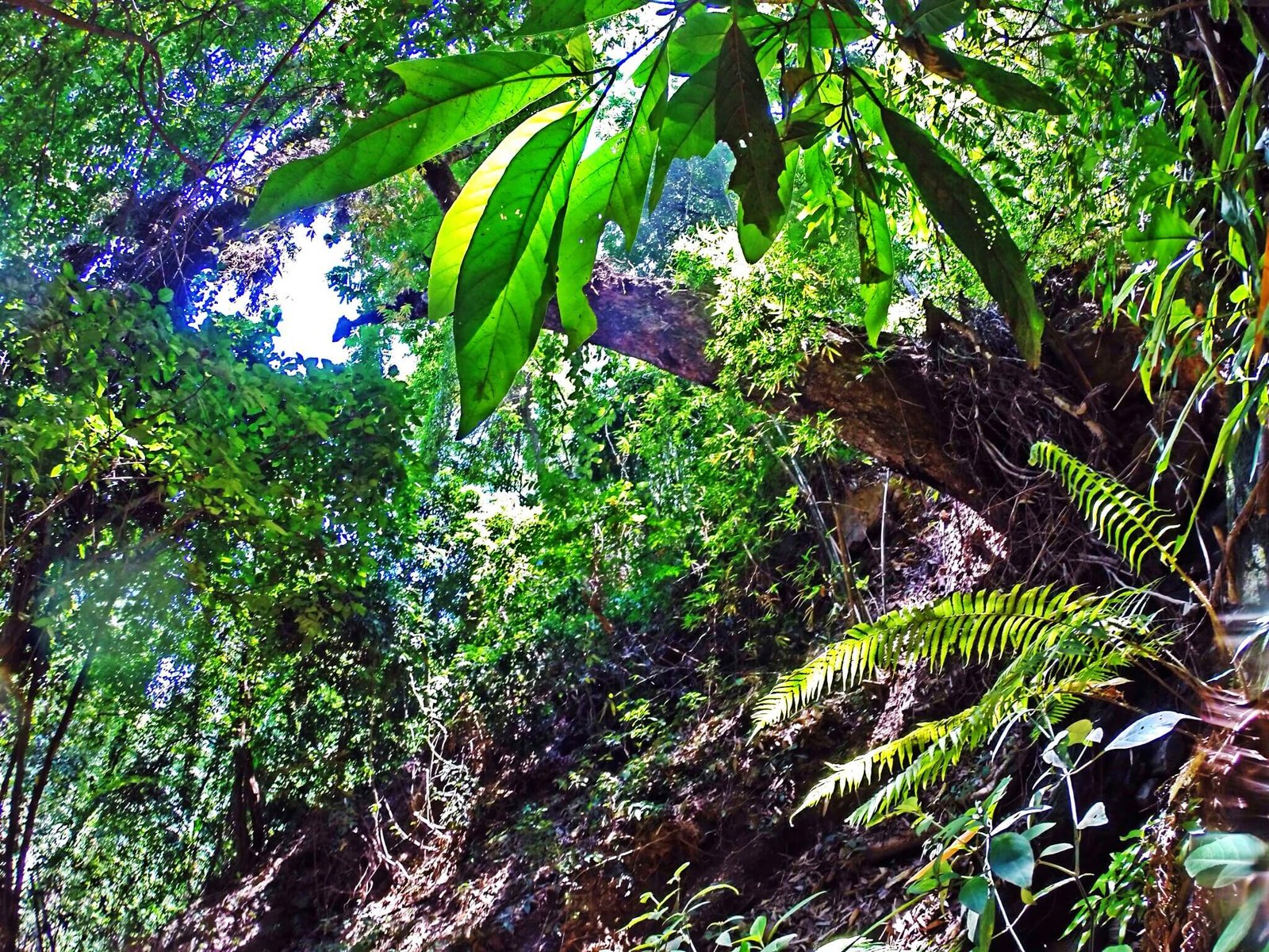 Shots For Thailand >> Scenic Shots In Thailand Volunteer Overseas With Ivi Shots For Thailand >> Scenic Shots In Thailand Volunteer Overseas With Ivi