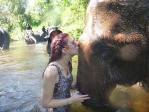 elephant adventure volunteering in Thailand Umphang elephant adventure volunteering in Thailand Umphang