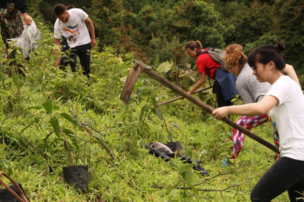 digging digging digging 1024x683 - "The Switzerland of Thailand” Forestry Conservation Project