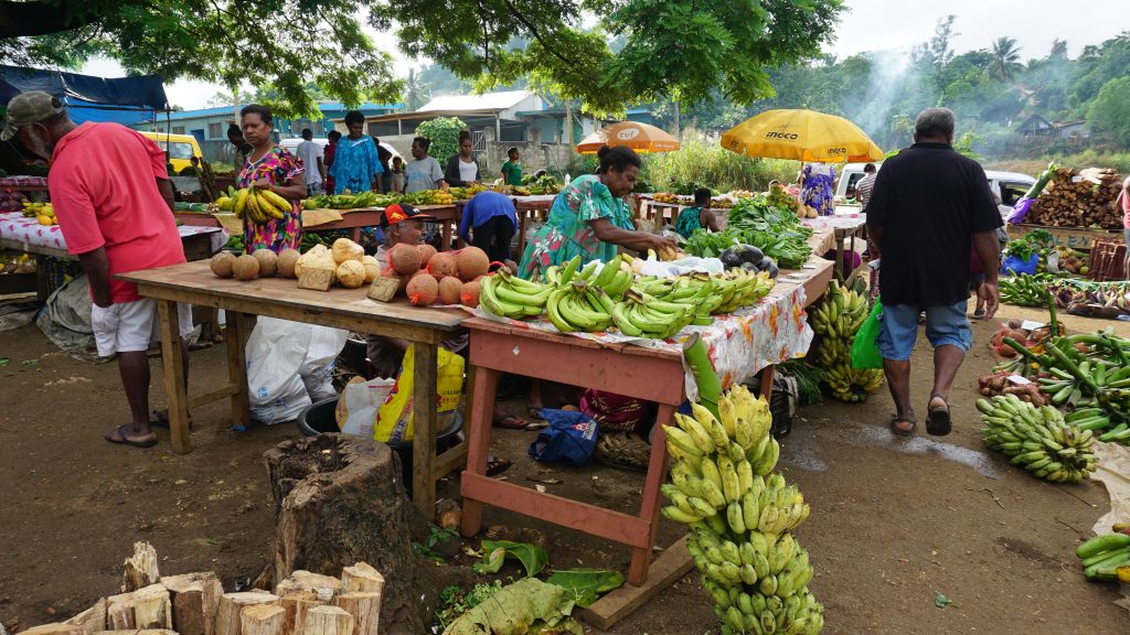 fruit vendors visiting on the introduction week 1024x576 - Public Health Vanuatu Review 2019