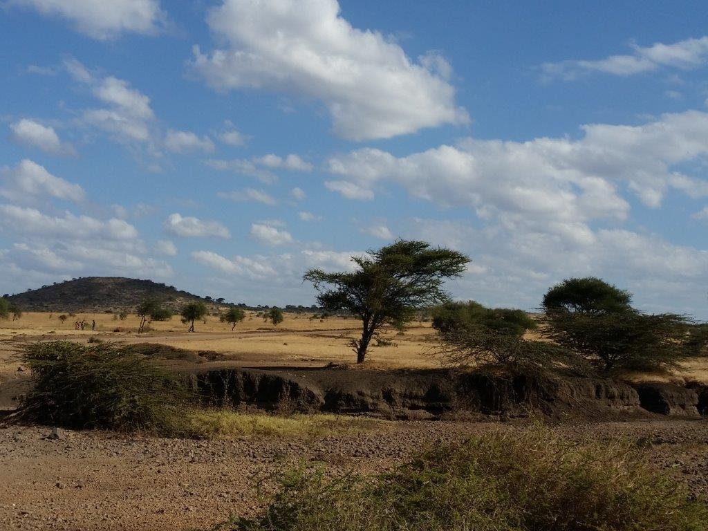 Maasai Tribe Community Support Tanzania Savanna - Maasai Tribe Community Support Tanzania