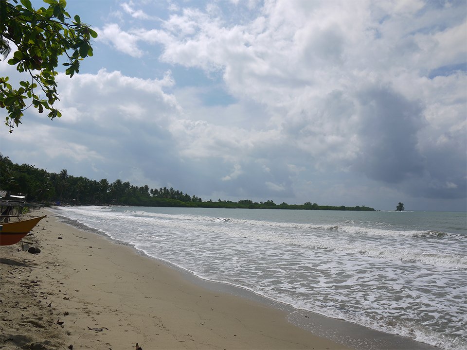 Philippines hosts IVI 2 - Meet your hosts in Palawan, Philippines