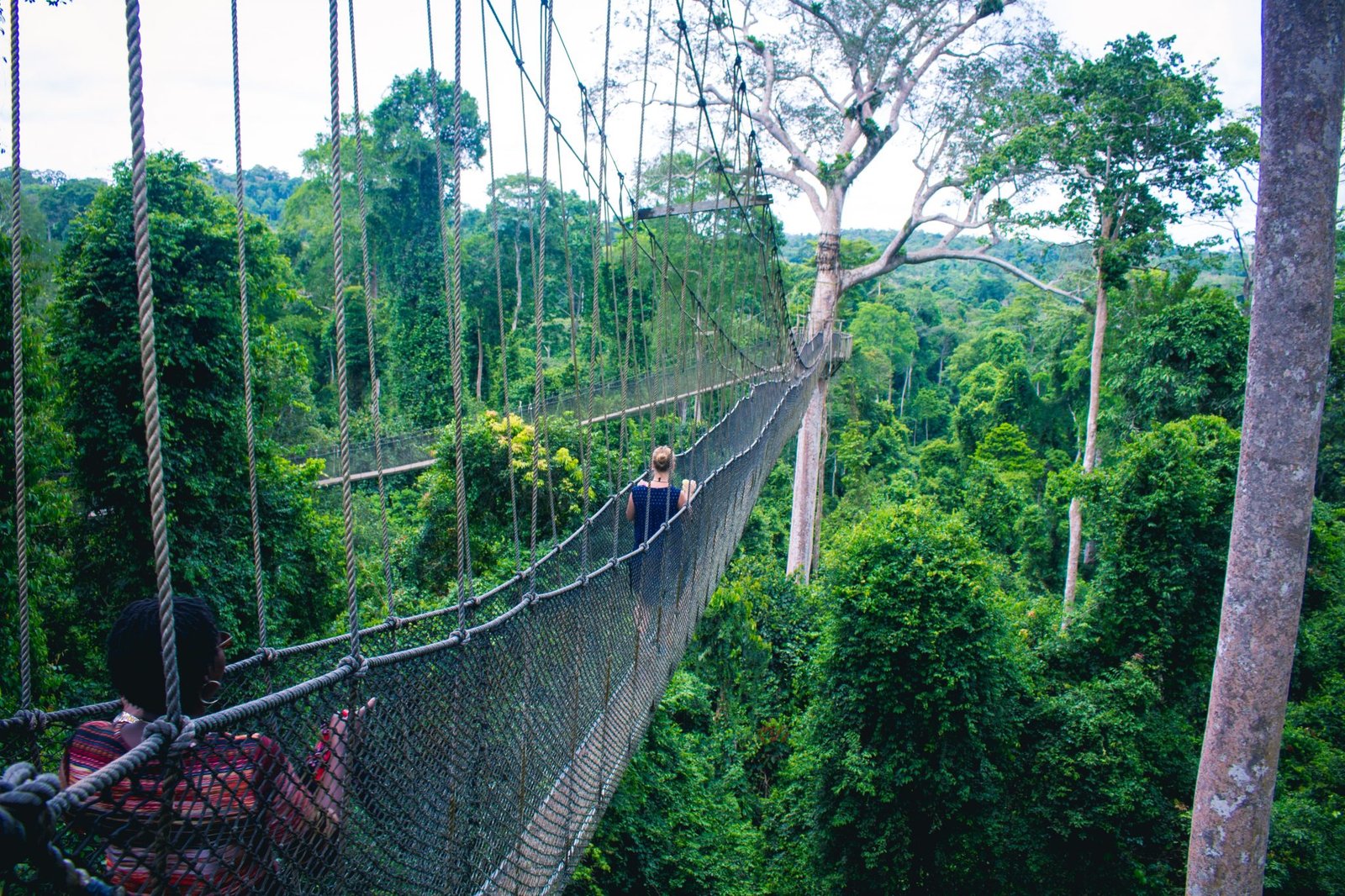 Ghana Kakum National Park scaled - Ghana