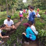group of volunteers planting trees 150x150 - Mangrove Environmental Conservation Program