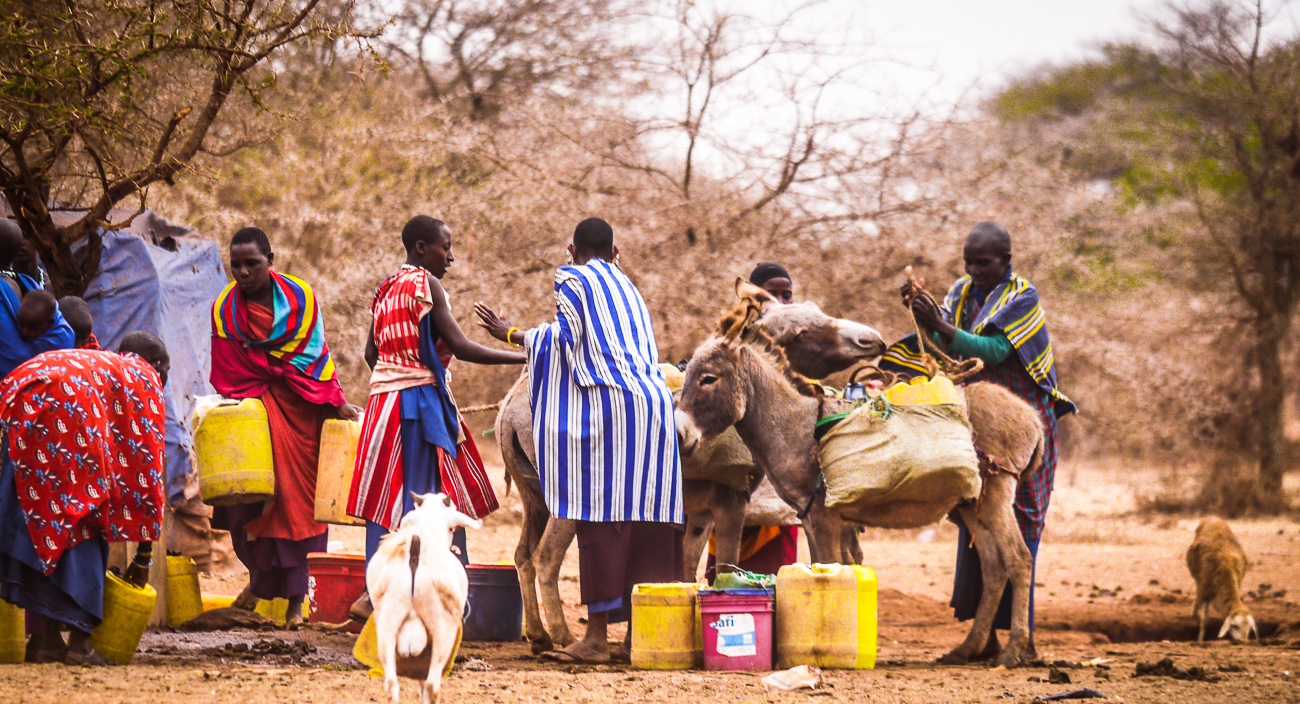 Maasai men strapping up donkeys - Living in a Maasai Village in Tanzania, Life Changing!