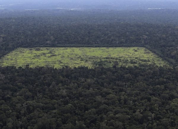 amazon jungle clear cutting 600x435 - Best Off the Beaten Track Destinations for Volunteering Abroad