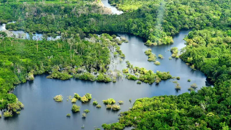 amazon-jungle-shot-with-beautiful-river-mouth-and-green-forests-dotted-throughout