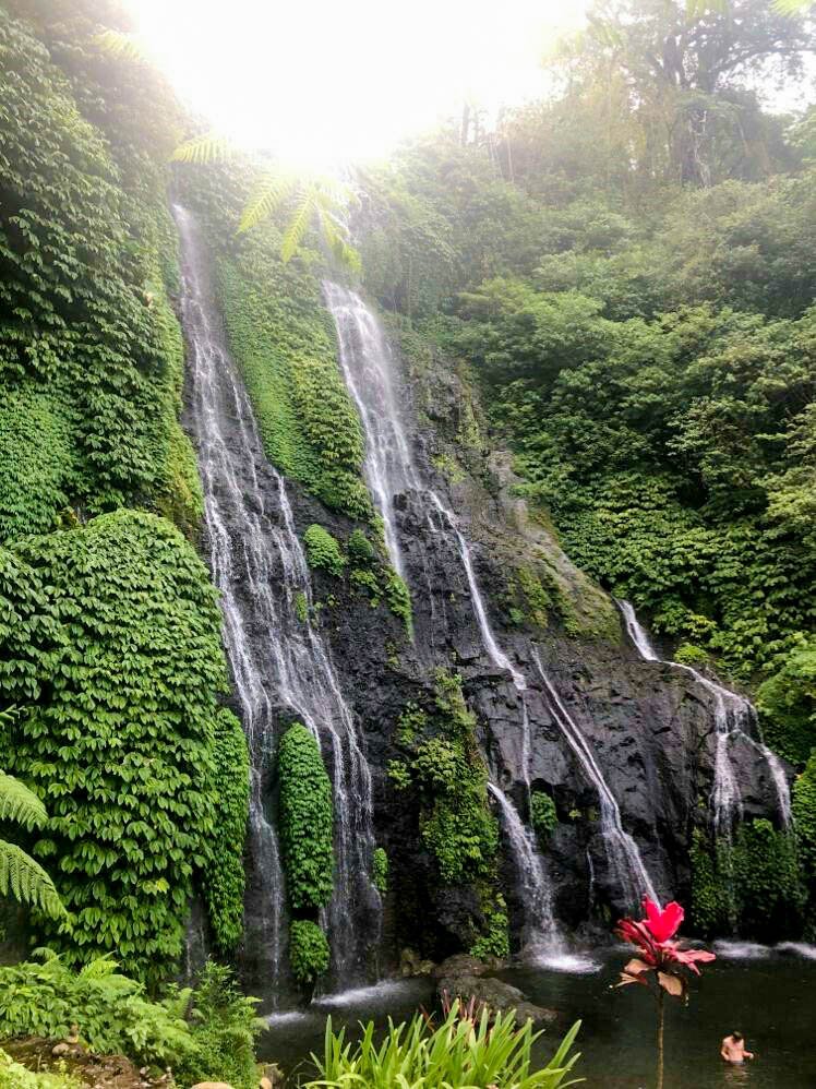 waterfall in lush rainforest - My Experience in Bali