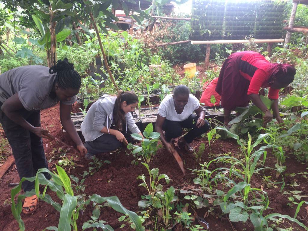 Hydroponic Gardening Projects Participant working in the farm - Hydroponic Gardening Projects