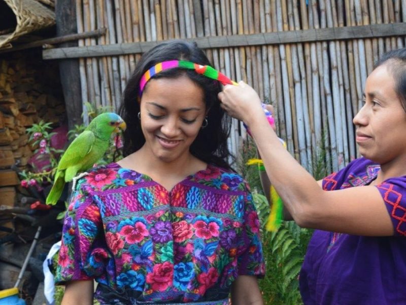 girl with parrot on her shoulder girl with parrot on her shoulder