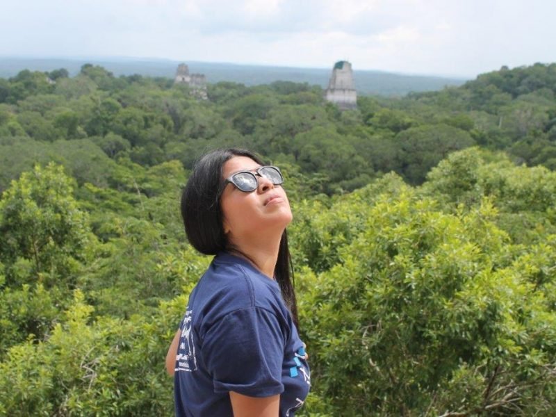view overlooking rainforest view overlooking rainforest