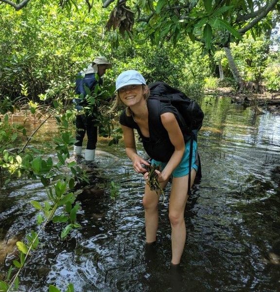 in the swamp! in the swamp!