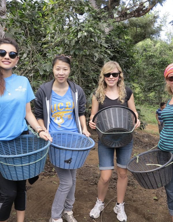 volunteers on coffee farm