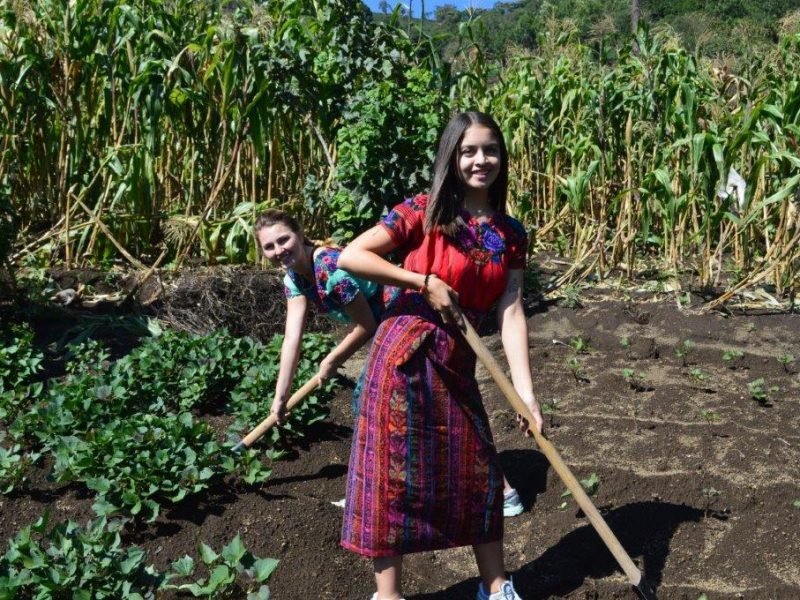 digging on the farm digging on the farm