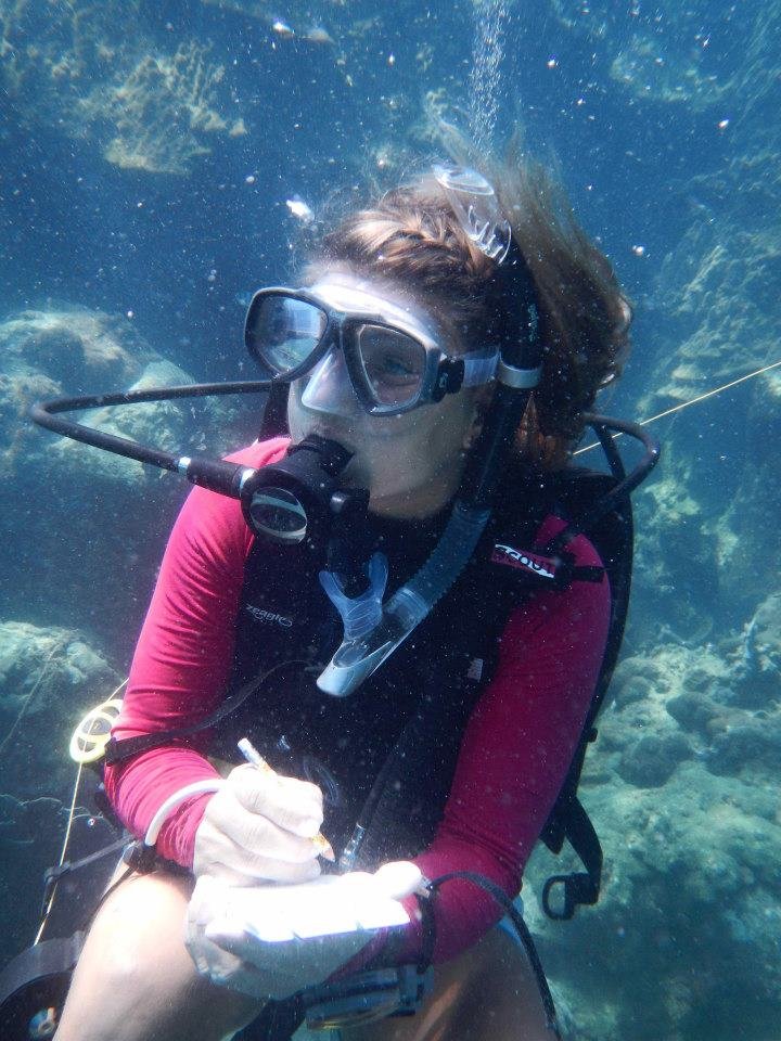 Diving Programs Diving underwater 2 - Diving Programs