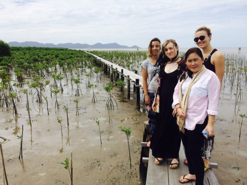 Mangrove Environmental Conservation Program Mangrove nursery 800x600 - Mangrove Environmental Conservation Program