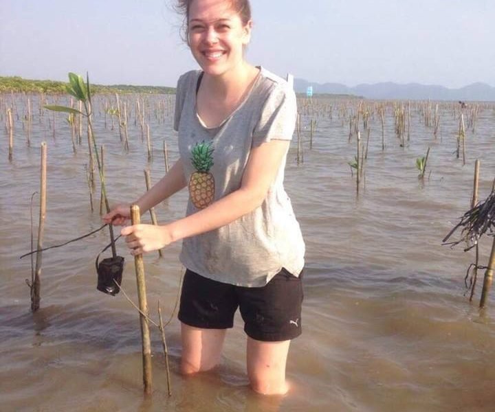 Mangrove Environmental Conservation Program Planting Mangrove tree at the beach 720x600 - Mangrove Environmental Conservation Program