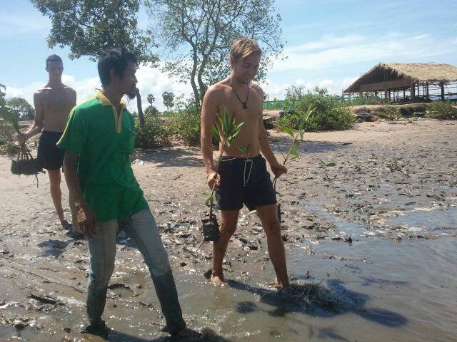Mangrove Environmental Conservation Program Planting new mangroves - Mangrove Environmental Conservation Program
