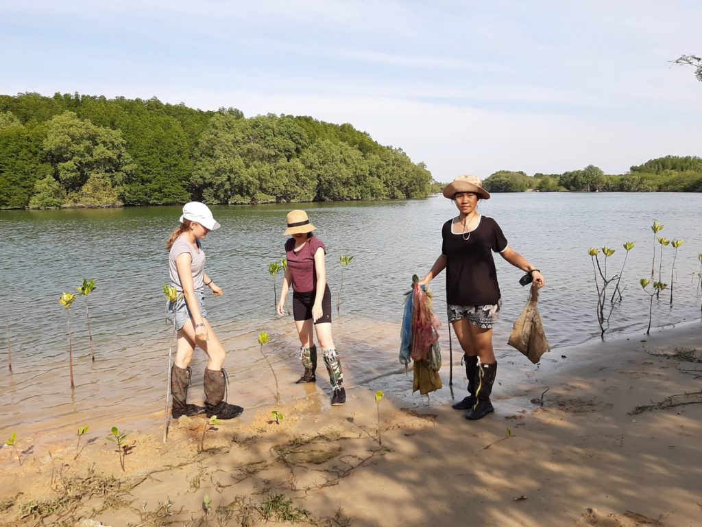 Planting mangrove 1 1024x768 - Environmental & Beach Conservation Hua Hin, Thailand
