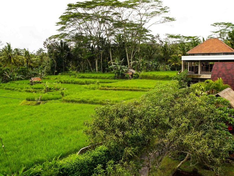 Pejeng Ubud volunteer house 1 800x600 - Healthcare Education Ubud, Bali