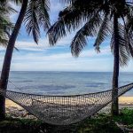 Stay in Fiji 19 11 150x150 - Fiji Nutrition & Public Health- Review by Holly