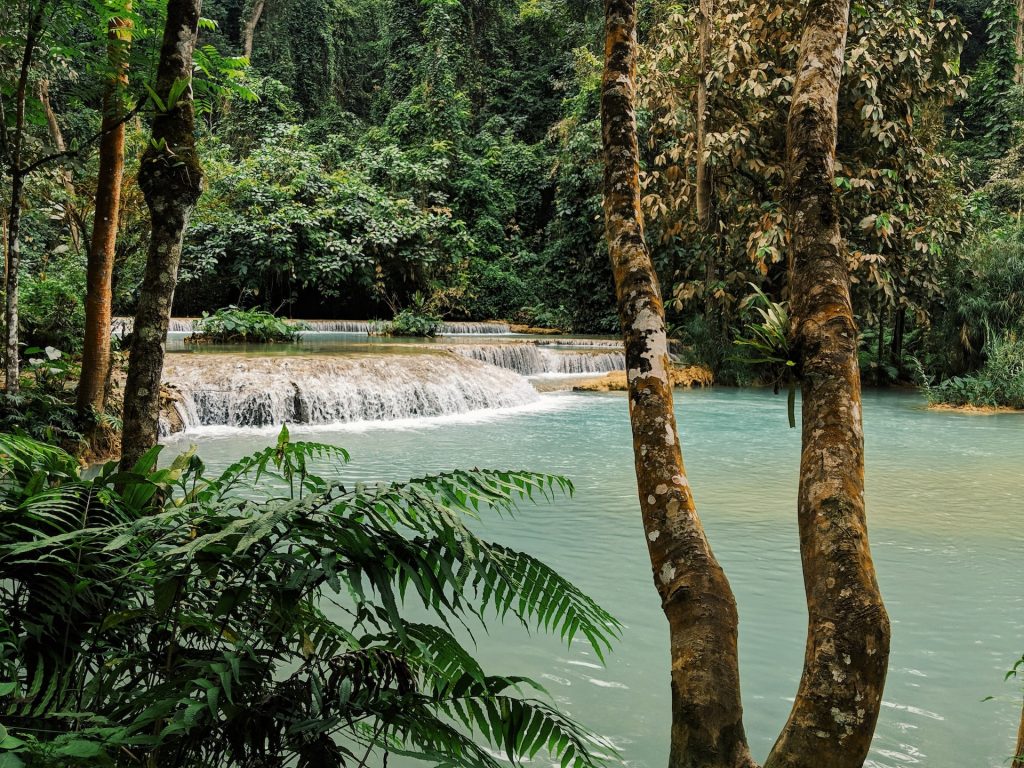waterfall in laos 2 1024x768 - The Best Things to Do in Laos (New Location!)