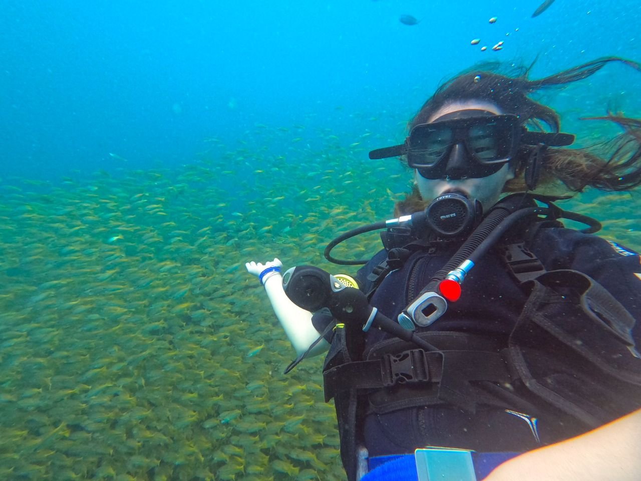 Diving Programs under water - Diving Programs