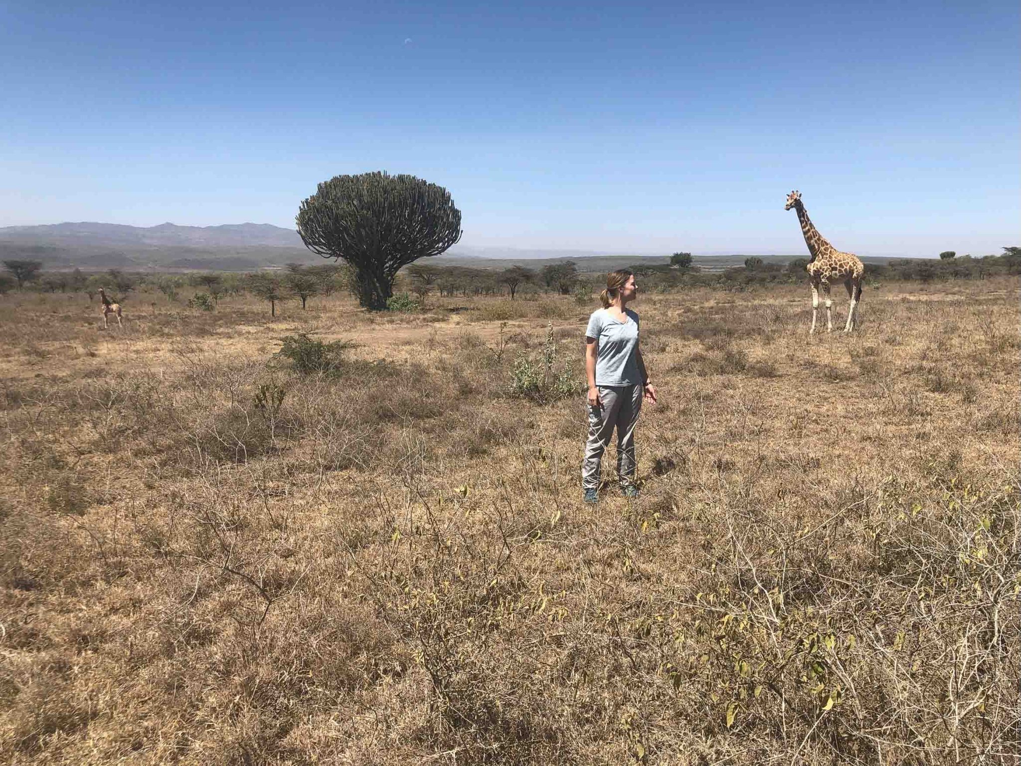 wildlife conservation scaled - Kenya
