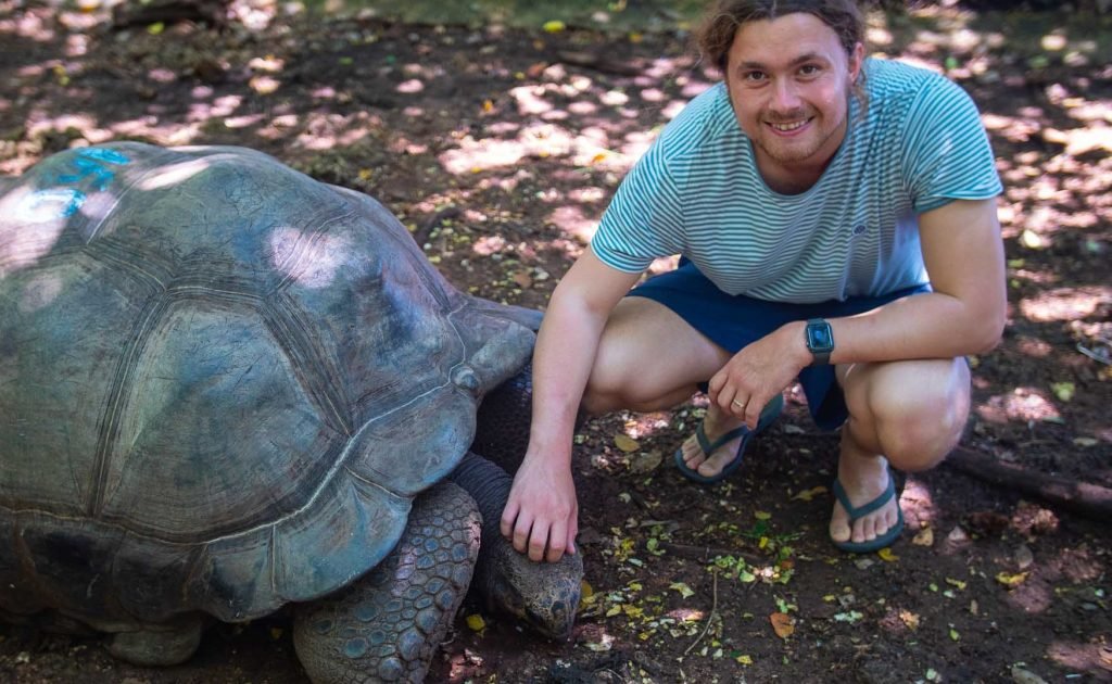 Zanzibar Adult turtles 7 26 q6abzl7ojftii1vzkncaw17y12bljlahz9gltvt38c - Zanzibar