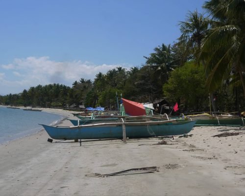 Island Agriculture and Fishing Palawan, Philippines Adventure week 2 1 ncwkm7iclr8imx94d1mtxnheoq6lsp3iocy0rgrixs - Island Agriculture and Fishing Palawan, Philippines