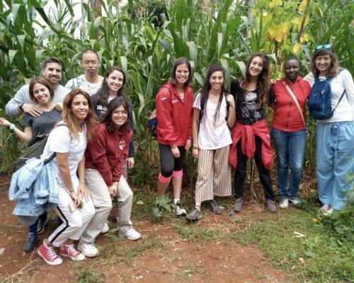 Coffee farm 6 ol31lnhzhf2jcciwntlu9j34ky6ii9g83rty0op9k0 - Food Security & Farming Kenya