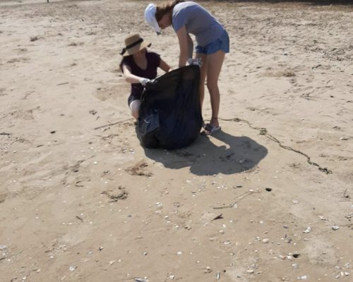 Collecting Garbage on the beach 4 onr1ivluine9x7dgt4g11aavkd89unbwo2bndzz0kg - Beach Conservation Hua Hin