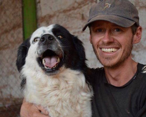 Stray Dog Rehabilitation Volunteer Project with IVI Peru