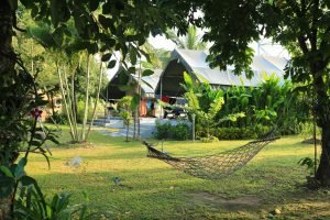 Construction & Renovation in Hua Hin, Thailand Hammocks npesafkblgmbz55y70zf4auy7ppxa4tyry2g4tslw0 - Construction & Renovation in Hua Hin, Thailand