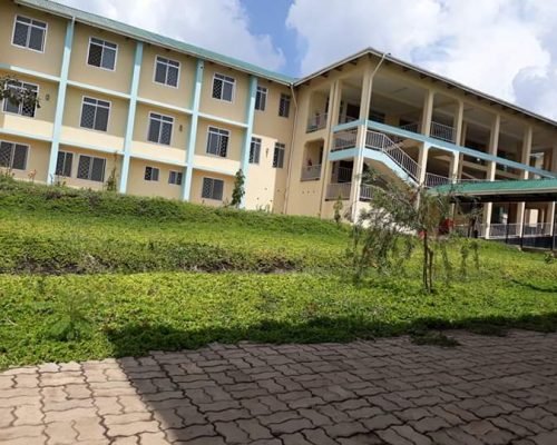 local hospital for IVI Tanzania project local hospital for IVI Tanzania project