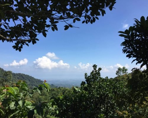 Philippines palawan accommodation only 5 min to the beach Philippines palawan accommodation only 5 min to the beach