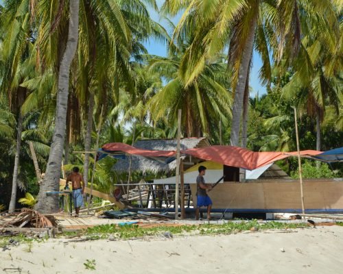 Island Agriculture and Fishing Palawan, Philippines Local farm scaled puz9w039yy4raetjyuuaqva9aolm64pl6zkek65m00 - Island Agriculture and Fishing Palawan, Philippines