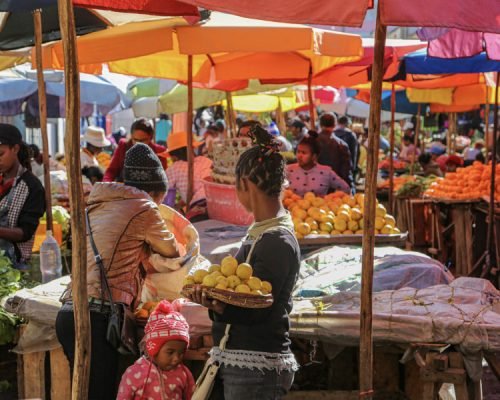 Orientation Week Madagascar Madagascar Market 5 olc6mogn060oruyo0wew9h8pzrjv6rdvz7myaxynj4 - Orientation Week Madagascar