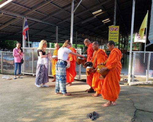 Monk alms collection 1 20 qb2v5ztxr3uethjol2ngka928bw90t44e9kt8eko0w - Thai Buddhism Experience